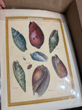Fitz and Floyd Tray, Shell Art and Brass Anchor