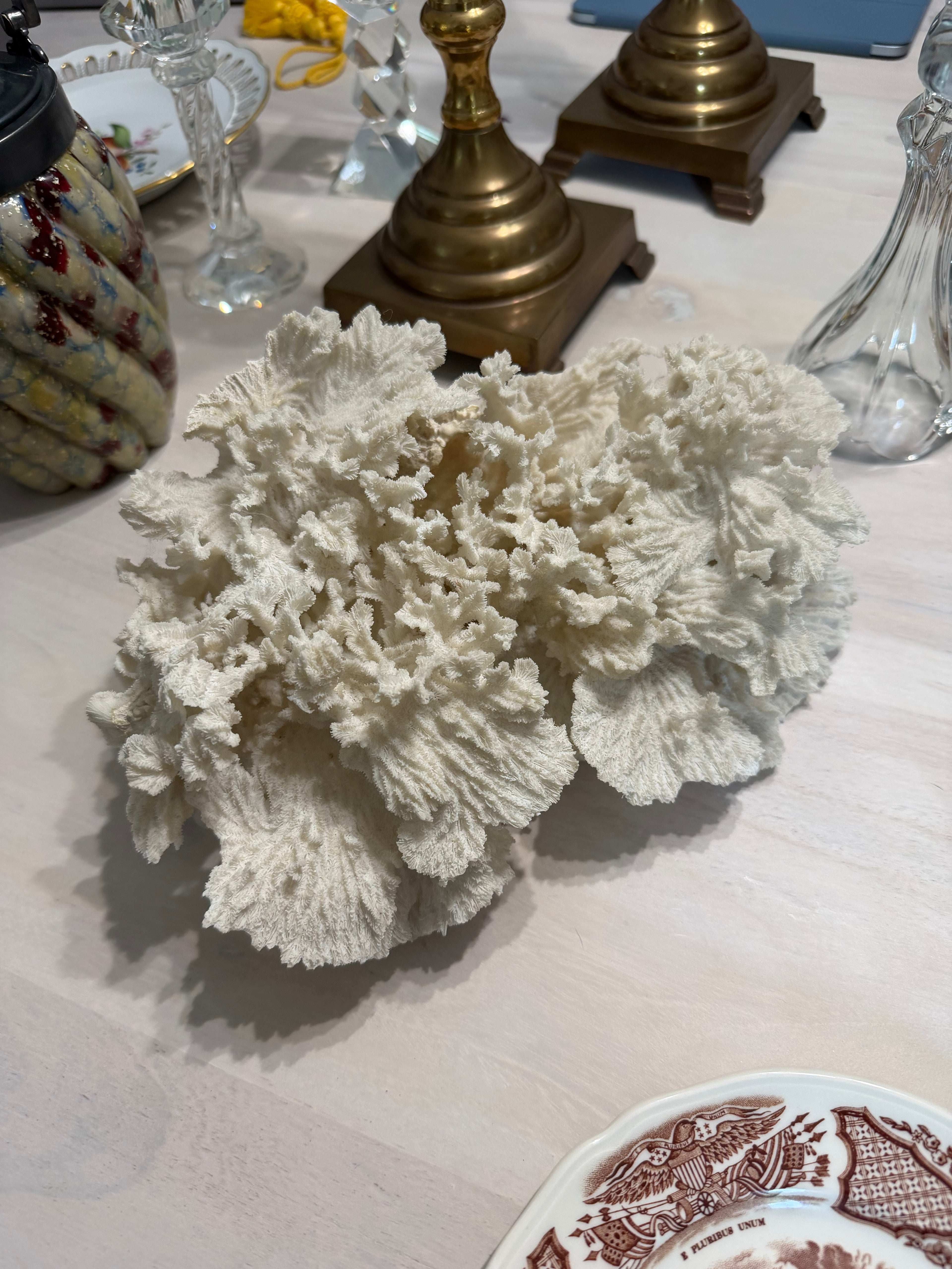 Coral