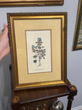 The Framed Botanical Study